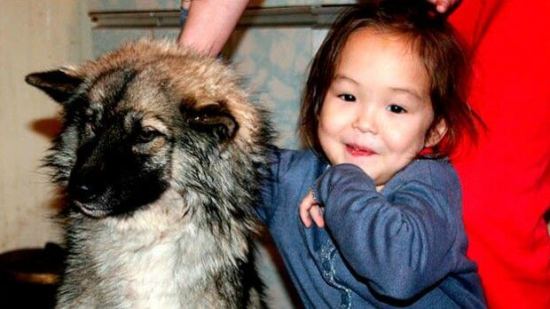 Encuentran a niña de tres años perdida en el bosque ¡gracias a su perro!