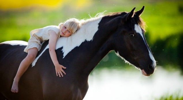 Contacto con animales de granja reduce el riesgo de alergias y asma en niños