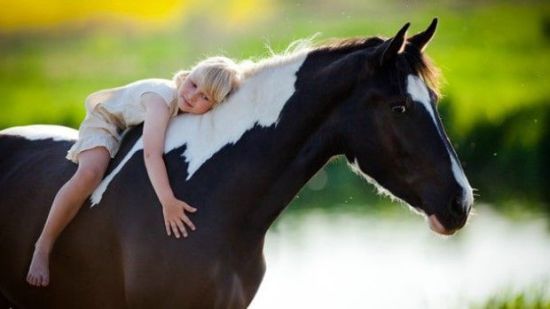 Contacto con animales de granja reduce el riesgo de alergias y asma en niños