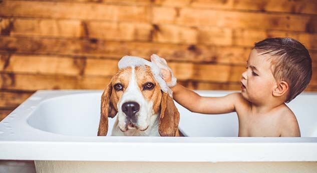 Hábitos de higiene para una sana convivencia entre mascotas y niños