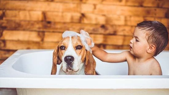 Hábitos de higiene para una sana convivencia entre mascotas y niños
