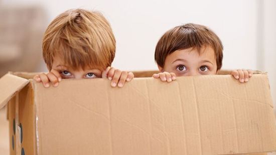 La caja de la rabia