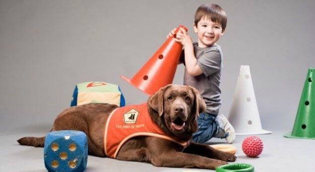 Conoce los grandes beneficios de la terapia con animales en niños