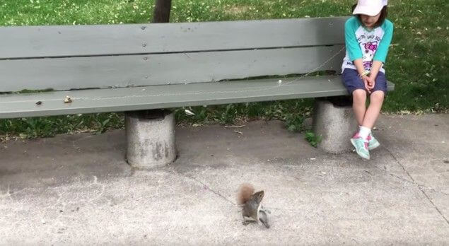¡Qué gran idea! Una pequeña ardilla le ayudó a una niña quitarse un diente flojo