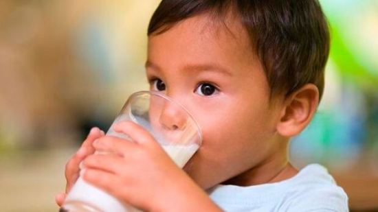 ¿Sabes lo que contiene NIDO KINDER 1-3 años?