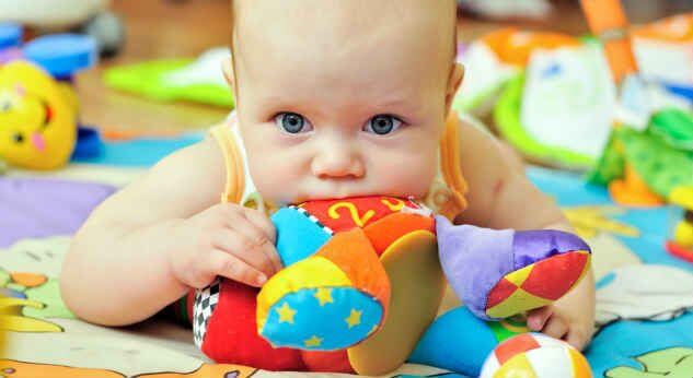 5 pasos para enseñarle a no morder