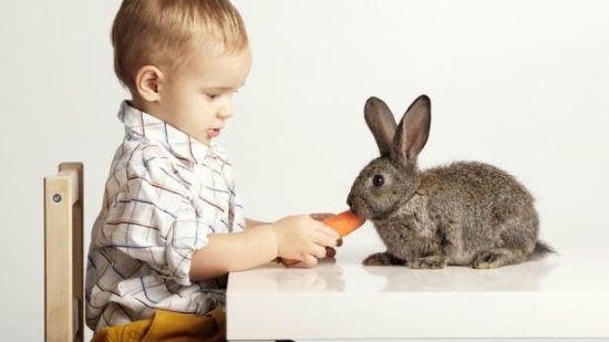 5 cosas que aprenden a la hora de la comida