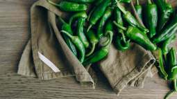 chiles