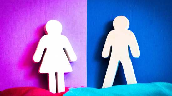 gender reveal