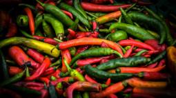 Chiles