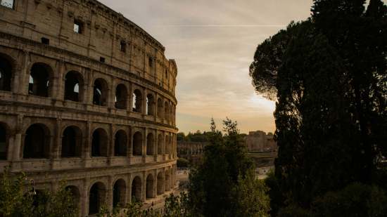 Coliseo