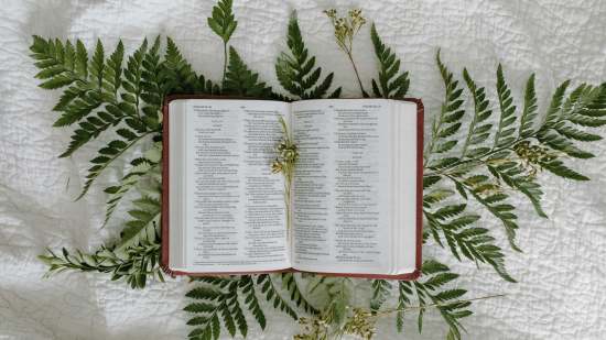 Biblia