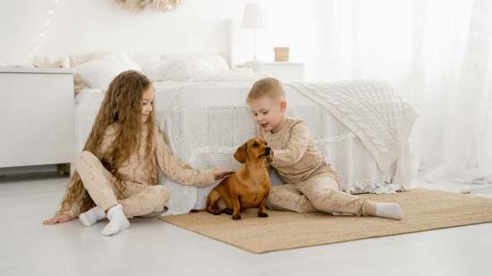 niños con perro